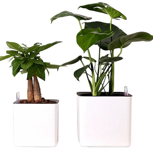 Pot de fleurs en plastique Alimentation automatique de l’eau - BMYANY