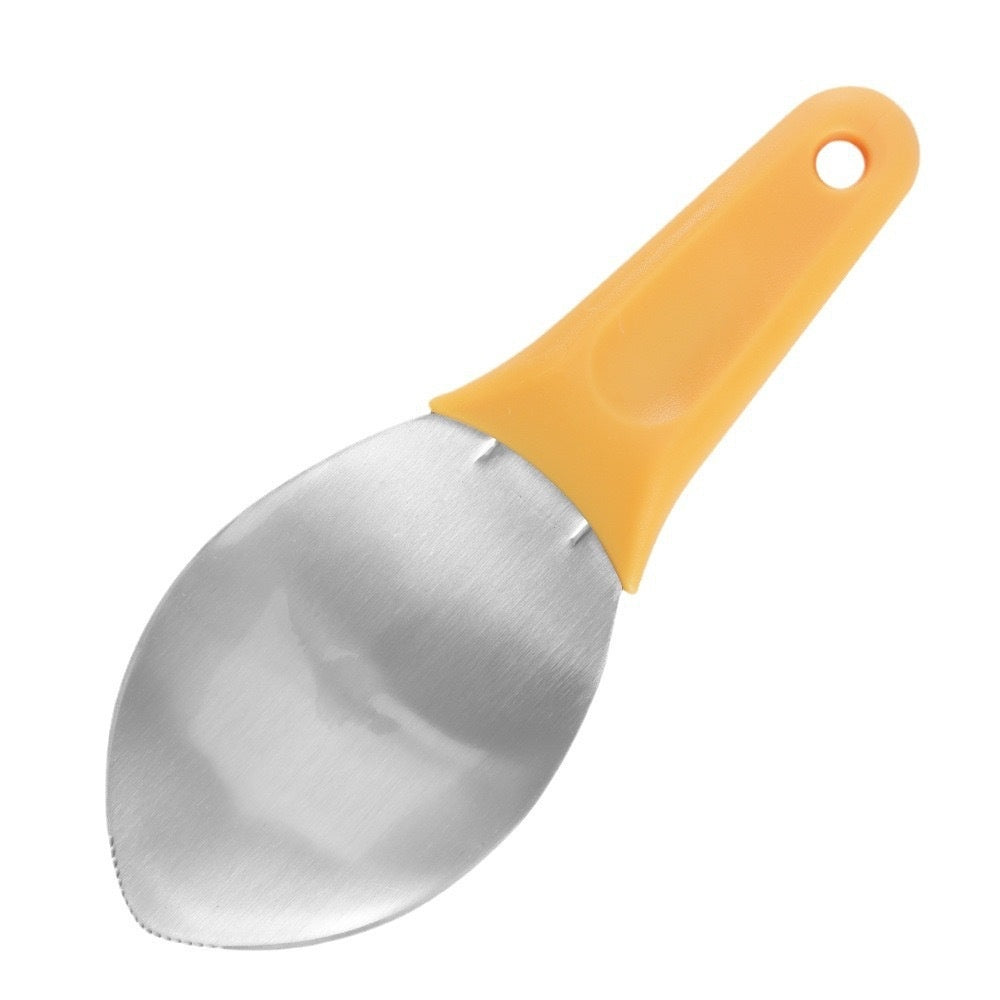 Stainless Steel Mango Peeler Fruit Meat Spoon Mango Cutter Dice - BMYANY